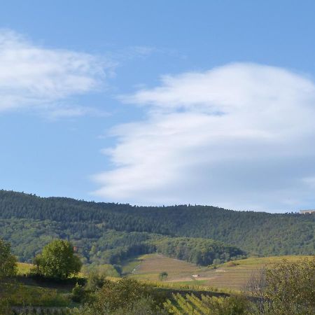 Le Petit Nid Διαμέρισμα Eguisheim Εξωτερικό φωτογραφία