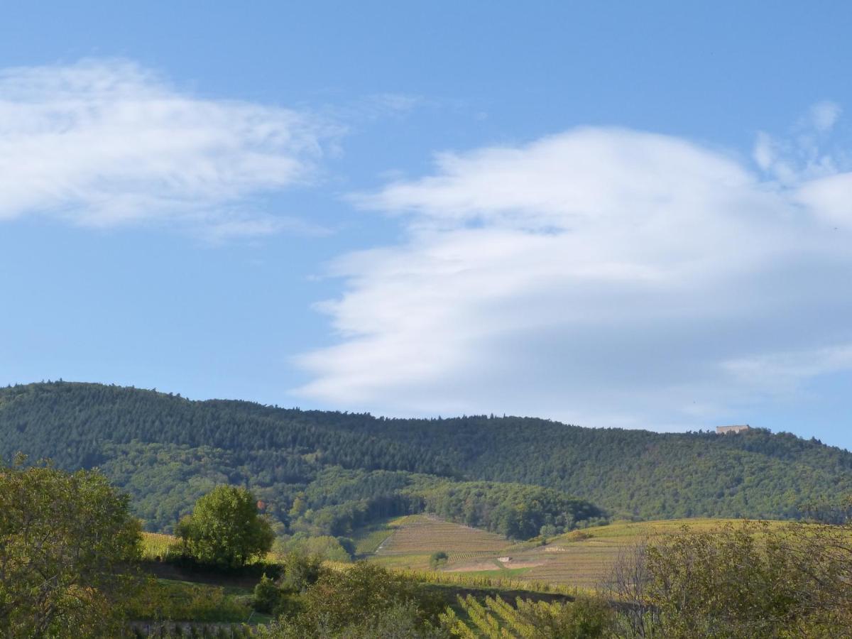 Le Petit Nid Διαμέρισμα Eguisheim Εξωτερικό φωτογραφία